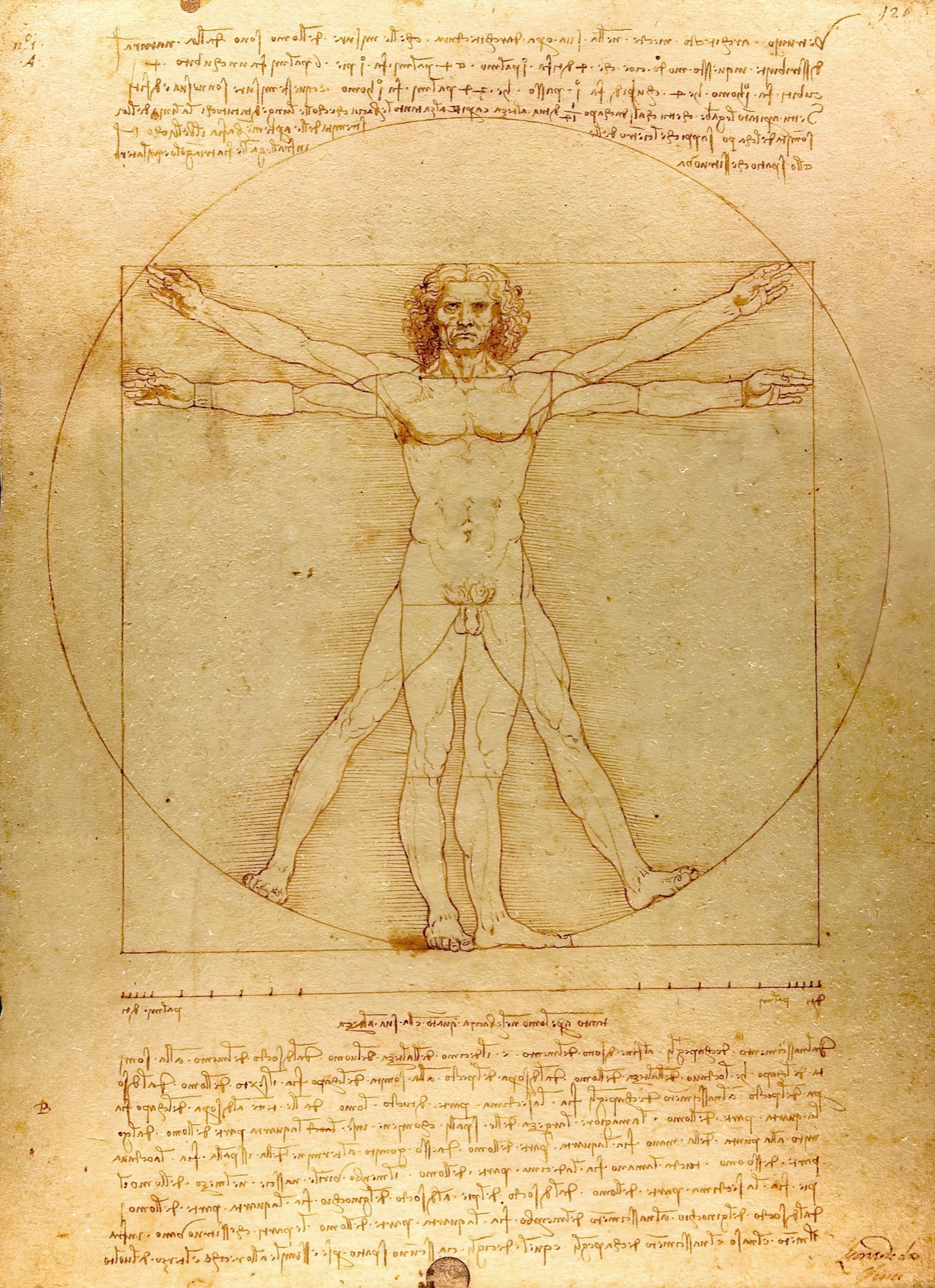 Image annotée de l’Homme de Vitruve de Léonard de Vinci, avec repères sur la tête, les mains, le torse et les pieds